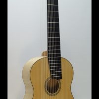 13s_Gitarre_FiAh_c