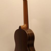 13s_Gitarre_FiPa_c